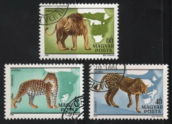 3 бр./компл. Пощенски марки Унгария 1981 Лъв и Леопард Използвали Пощенски марки с маркировка за събиране на