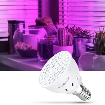 E27 LED фитолампа Оранжерия 220v GU10 Led лампа за отглеждане на растения B22 Led лампа за стайни растения E14 UV-лампа за Разсад на 4 Вата 6 W И 8 W groeilampen gu5.3