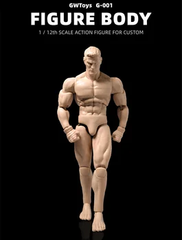 GWToys 1/12 Мащаб Фигурка на Мускулите на Тялото, Главата Скулптура 6 инча Модел на Човешкото Тяло G001 за Обучение на Студенти на Изкуството