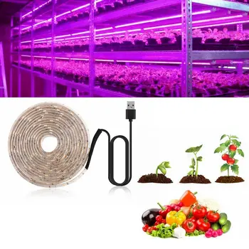 Led лампа за отглеждане на Пълна Гама от 0,5-3 м 2835 SMD 5 В USB Светлинна лента за отглеждане на Led фитолампа за растения, отглеждане растение, Палатка, кутия