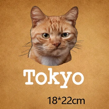 Колоездач Кръпка разберись с това Облекло Теплопередающая Печат Токио Котка Ютия върху кръпка за дрехи Животни Сам Стикери от PVC